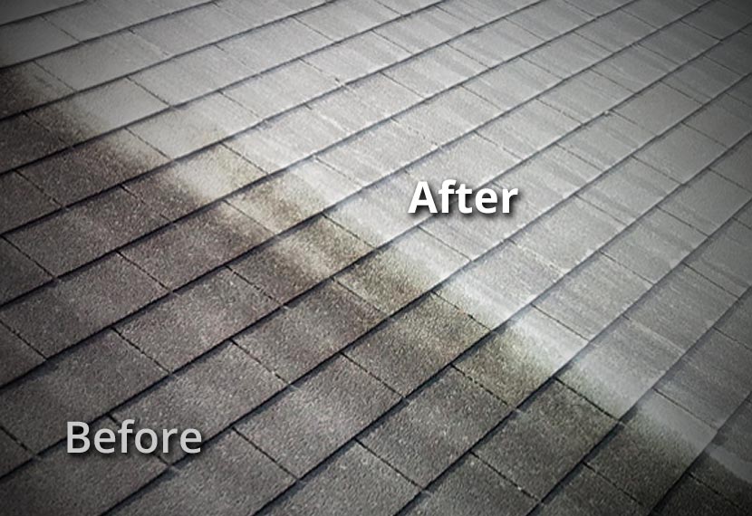 New Braunfels TX Roof Soft Wash Cleaning